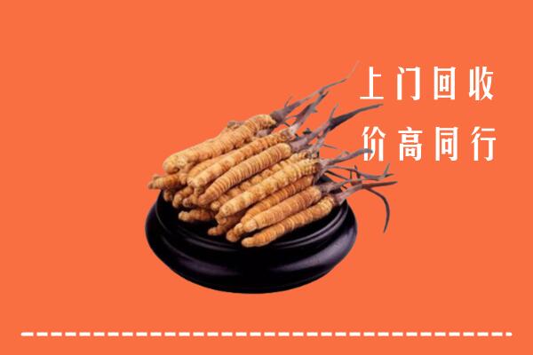 高价求购：融水县回收散虫草