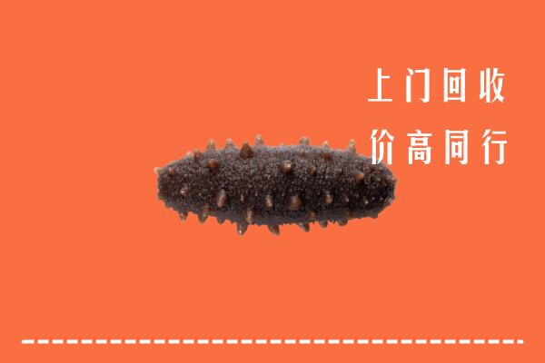 高价求购：融水县回收海参