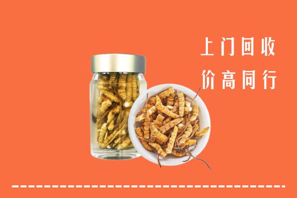 融水县回收冬虫夏草