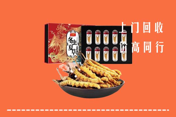 融水县回收虫草